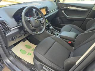 SKODA Karoq usata, con Controllo trazione