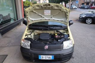 FIAT Panda usata 14