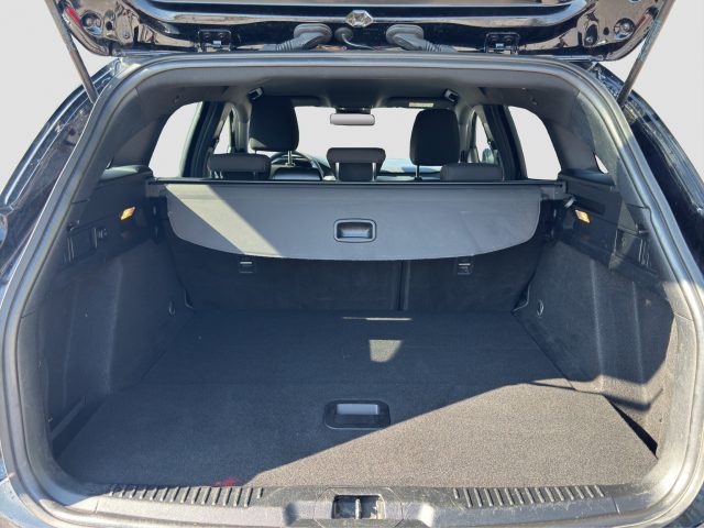 FORD Focus usata 12