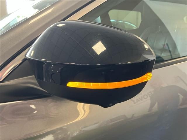 RENAULT Austral usata 22