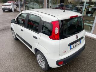 FIAT Panda usata, con Climatizzatore