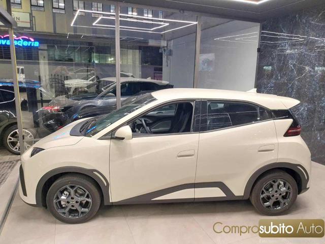 BYD Dolphin usata, con Alzacristalli elettrici