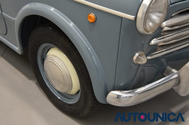 FIAT 1100 usata 49