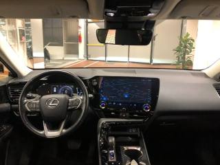 LEXUS NX 450h usata, con Interni in pelle