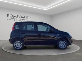 FIAT Panda usata, con Controllo trazione