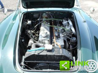 AUSTIN Healey usata 27