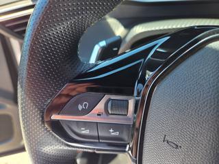 PEUGEOT 2008 usata, con Cronologia tagliandi