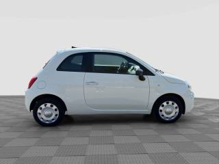 FIAT 500 usata 5