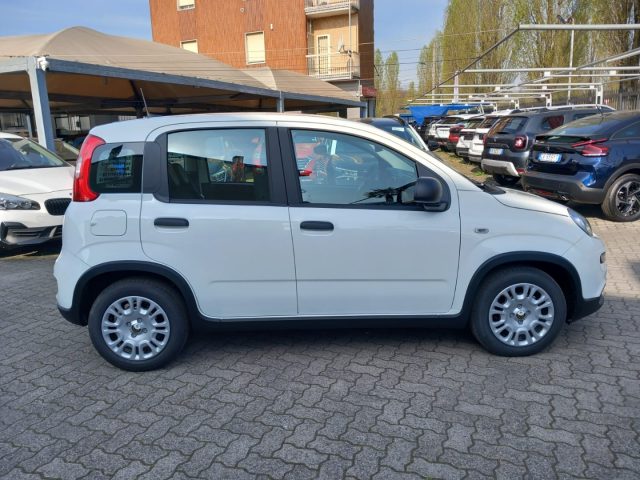 FIAT Panda usata, con Controllo trazione