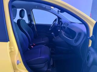 FIAT Pandina usata 12