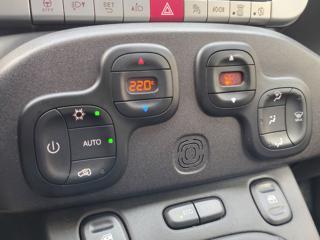 FIAT Panda Cross usata, con Fendinebbia