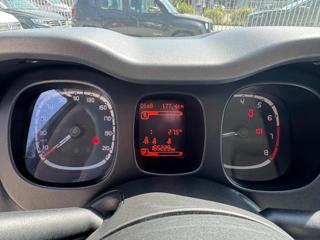 FIAT Panda usata, con Fendinebbia