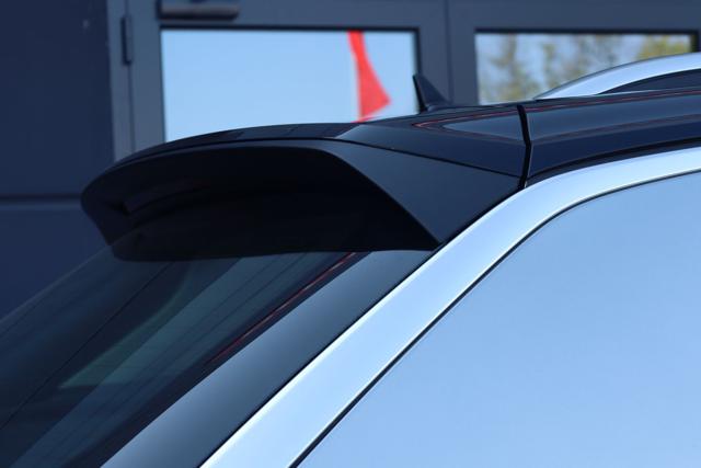 VOLKSWAGEN T-Roc usata, con Hill holder