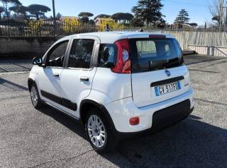 FIAT Panda usata 3