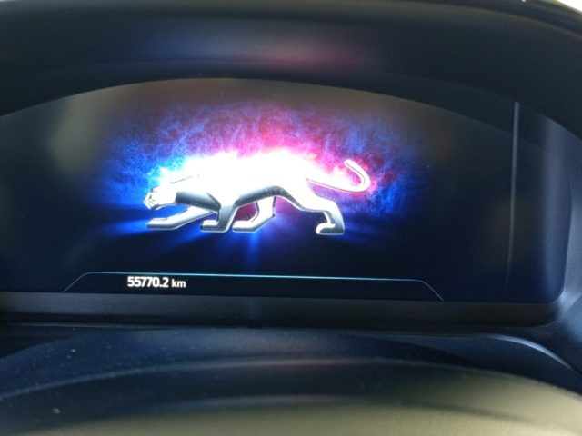 FORD Puma usata, con Boardcomputer