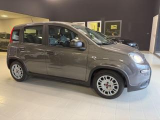 FIAT Panda usata, con Autoradio
