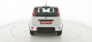 FIAT Panda usata, con Chiusura centralizzata