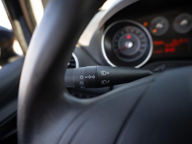 FIAT Punto usata 19