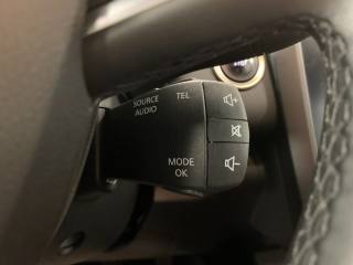 RENAULT Kadjar usata, con Autoradio digitale