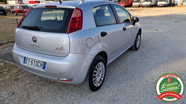 FIAT Punto usata, con Chiusura centralizzata