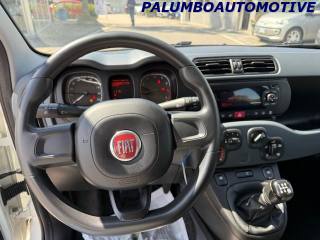 FIAT Panda usata, con Servosterzo
