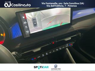 ALFA ROMEO Tonale usata, con Interni in pelle