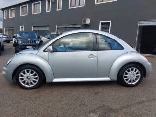 VOLKSWAGEN New Beetle 1.9 TDI 105CV