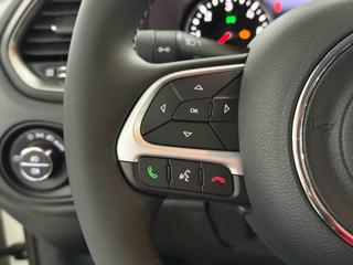 JEEP Renegade usata 15