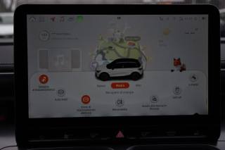 SMART Smart usata, con Luci diurne