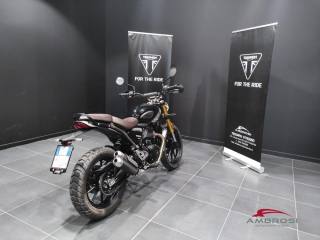 TRIUMPH Scrambler usata 4