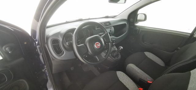 FIAT Panda usata 52