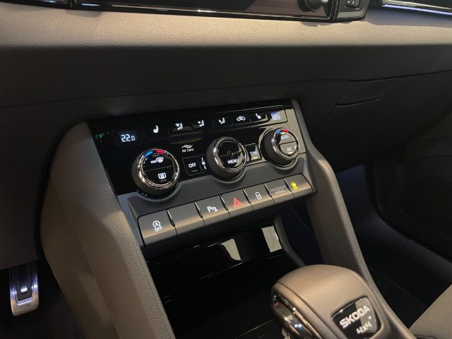 SKODA Karoq usata, con Fendinebbia