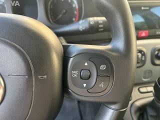 FIAT Panda usata 21