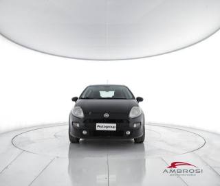 FIAT Punto usata 4