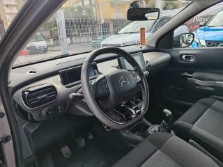 CITROEN C4 Cactus usata, con Cruise Control