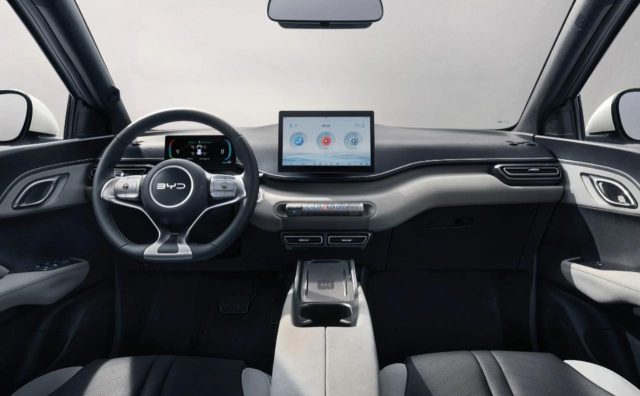 BYD Dolphin Surf usata, con USB