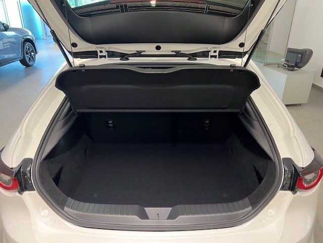 MAZDA 3 usata, con ESP