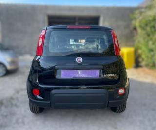 FIAT Panda usata, con Climatizzatore