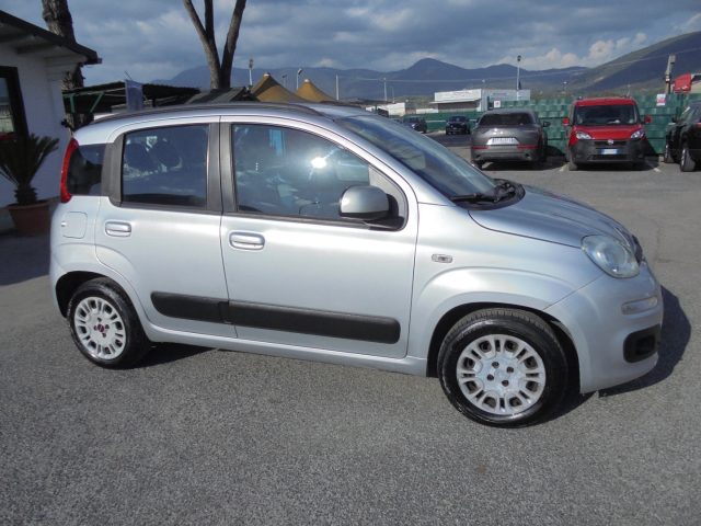FIAT Panda usata 13