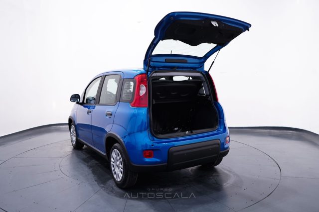 FIAT Panda usata 29