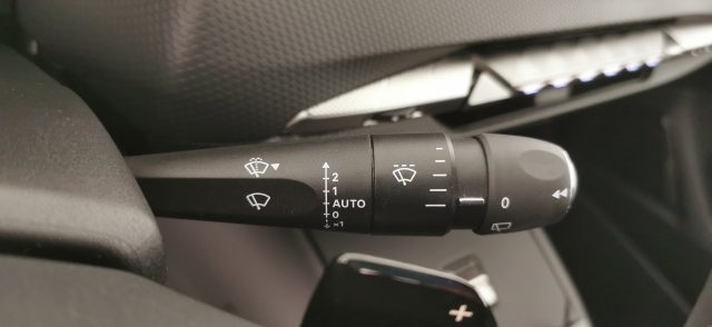 DS AUTOMOBILES DS 4 usata 67