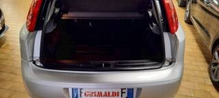 FIAT Punto usata, con Servosterzo