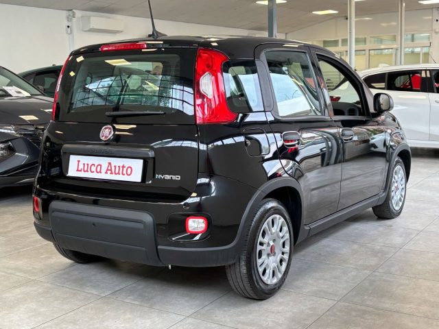 FIAT Panda usata, con Alzacristalli elettrici
