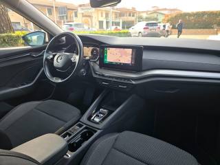 SKODA Octavia usata 124