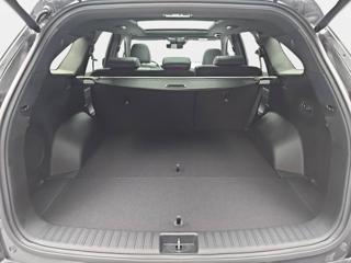 KIA Sorento usata, con Fendinebbia