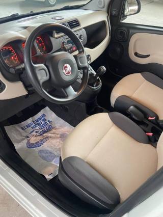FIAT Panda usata 10
