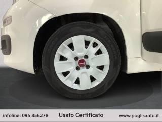 FIAT Panda usata 13