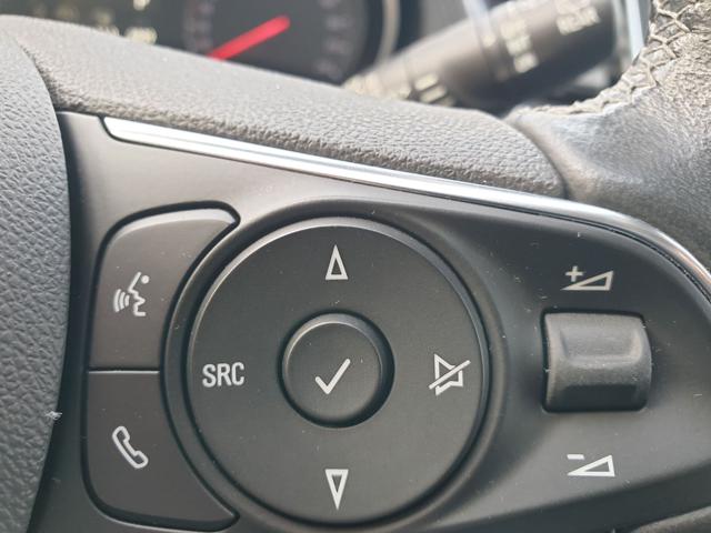 OPEL Grandland X usata, con Servosterzo