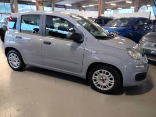 FIAT Panda usata, con Immobilizzatore elettronico