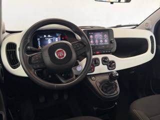 FIAT Panda Cross usata, con ESP